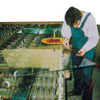 3M™ Scotch™ 4905 P VHB™ Hochleistungs-Verbindungssystem hochtransparent 0,5 mm x 6 mm x 33 m